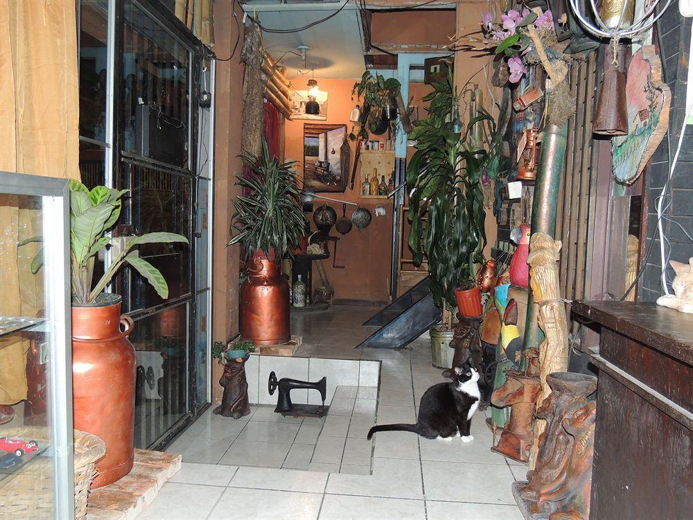 Hostal Del Este Santa Fe San Jose  Exterior photo